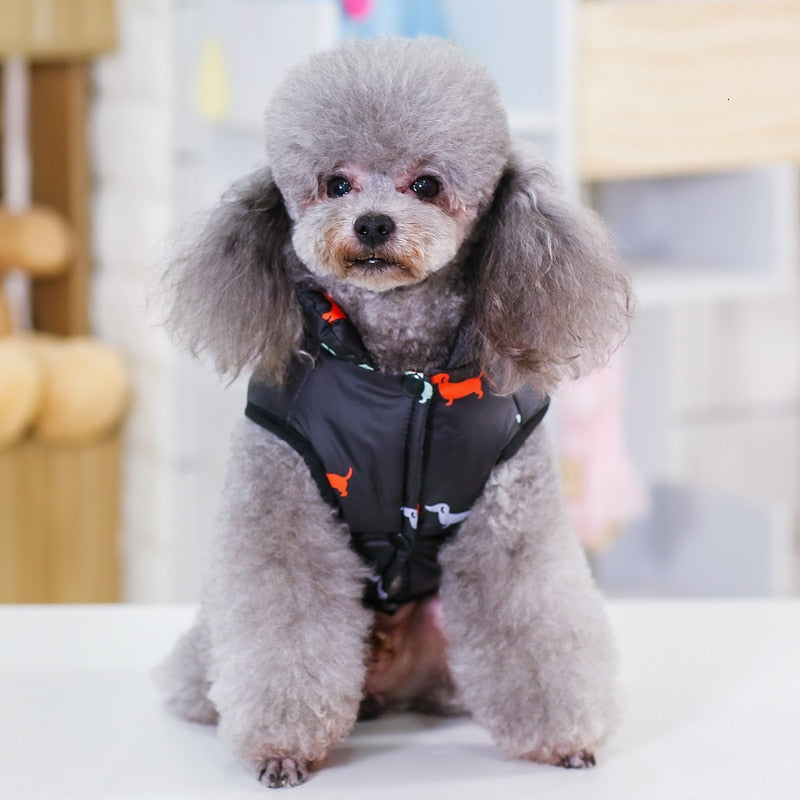 Warm Puffer Jacket for Pets | Cozy Winter Outerwear for Dogs and Cats