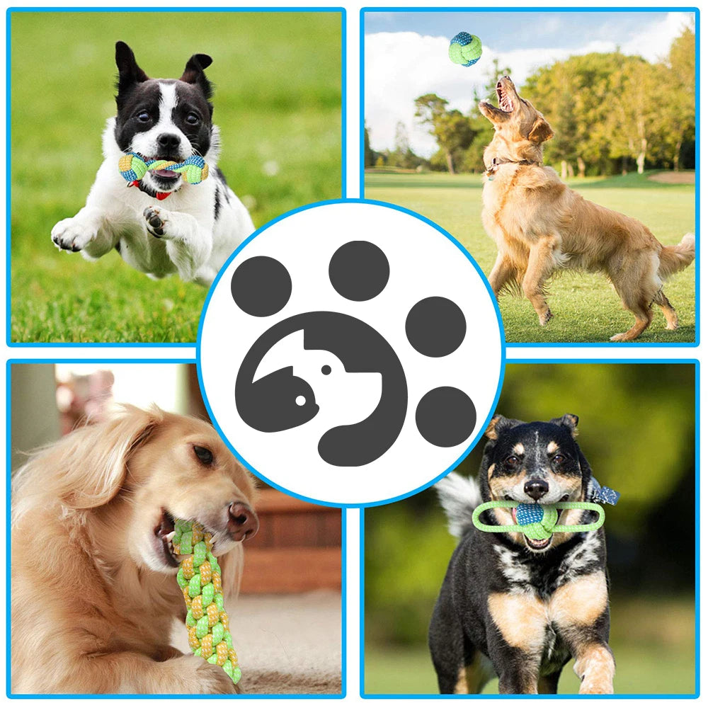 Chewy Dog Rope Ball Toy