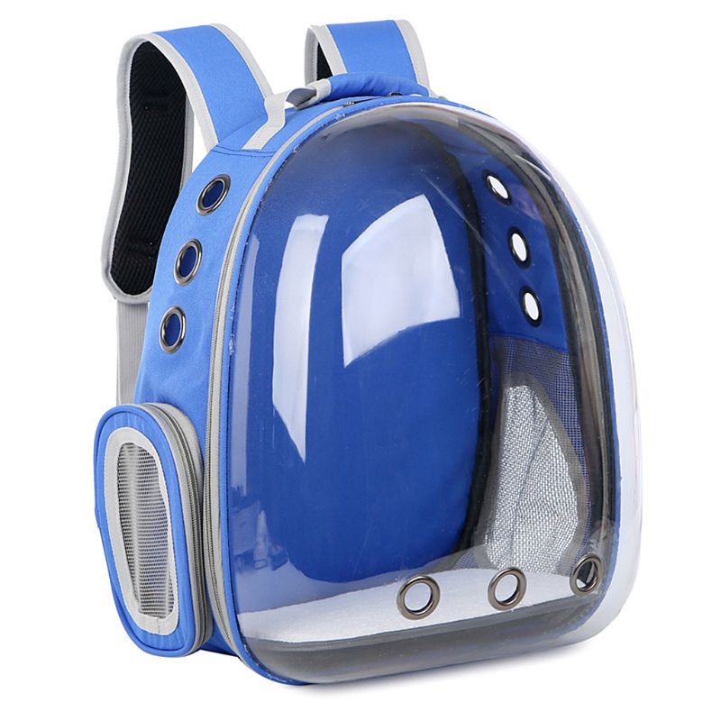 Explore the World Together with our Breathable Transparent Puppy Travel Backpack
