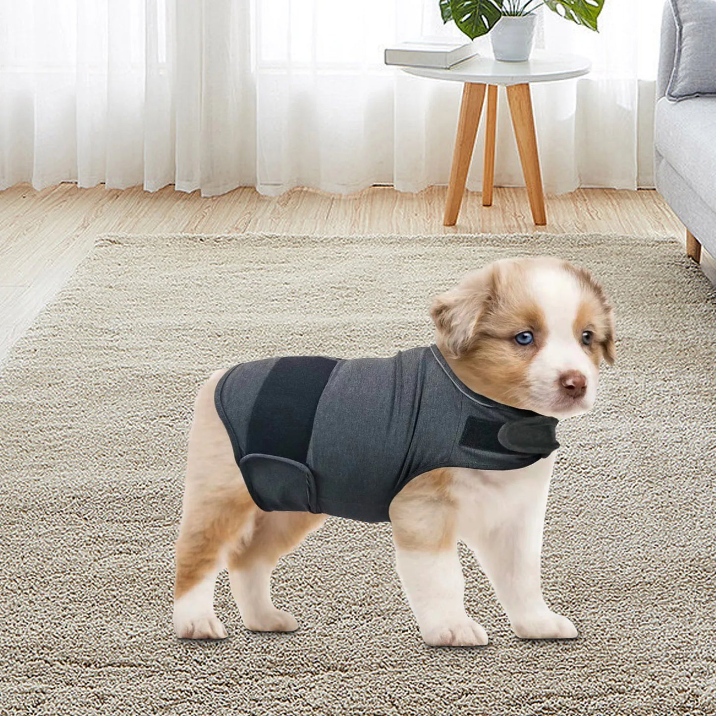 Classic Pet Anxiety Jacket - Breathable Calming Vest for Pets | Soothing Stress Relief