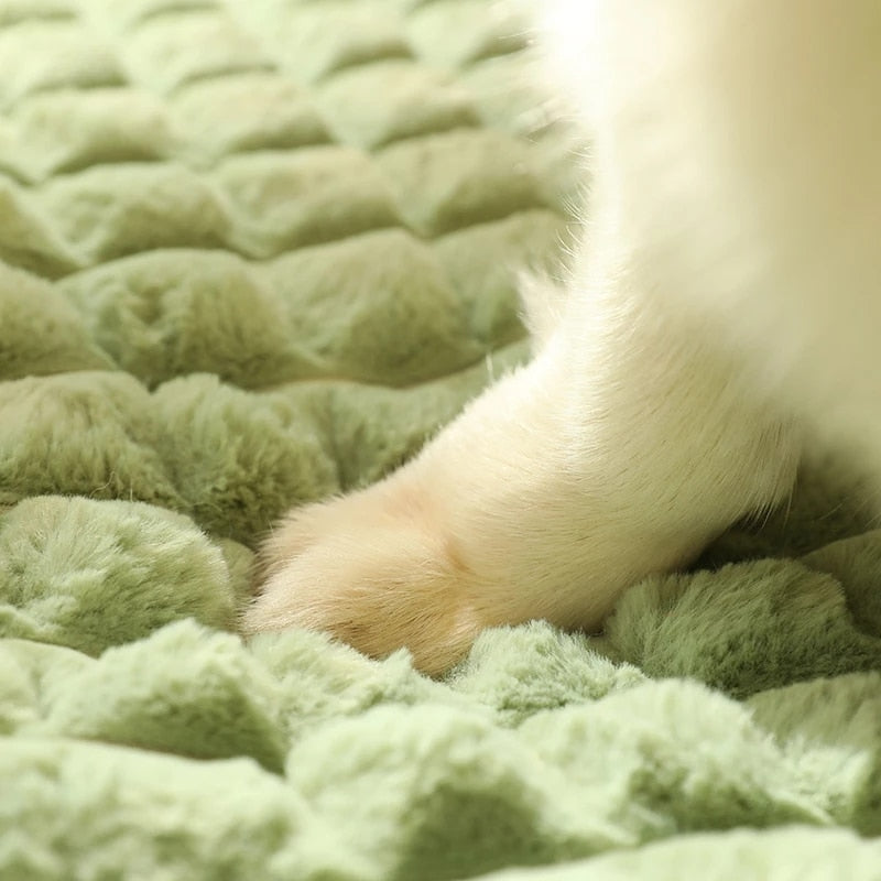 Cozy & Warm Fluffy Washable Dog Bed for Winter | Pet Store